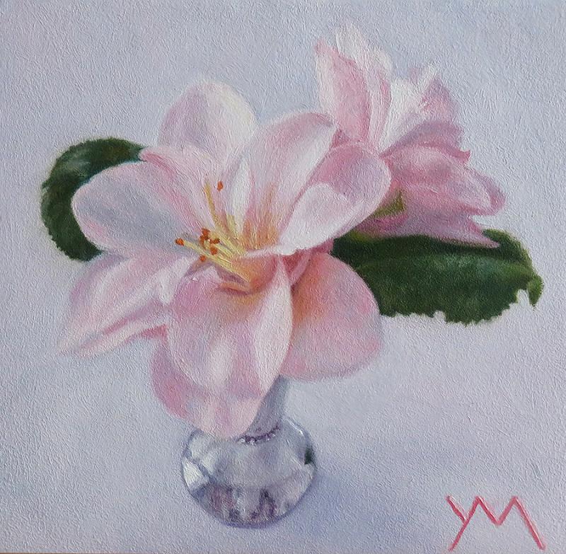 STILL LIFES - Camelia's from my garden
